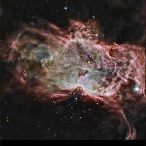 Meet your Posher, Nate